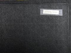 Gramophone_VSM_opg_ola